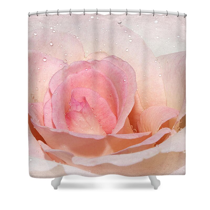 Rose Shower Curtain featuring the photograph Blush Pink Dewy Rose by Phyllis Denton