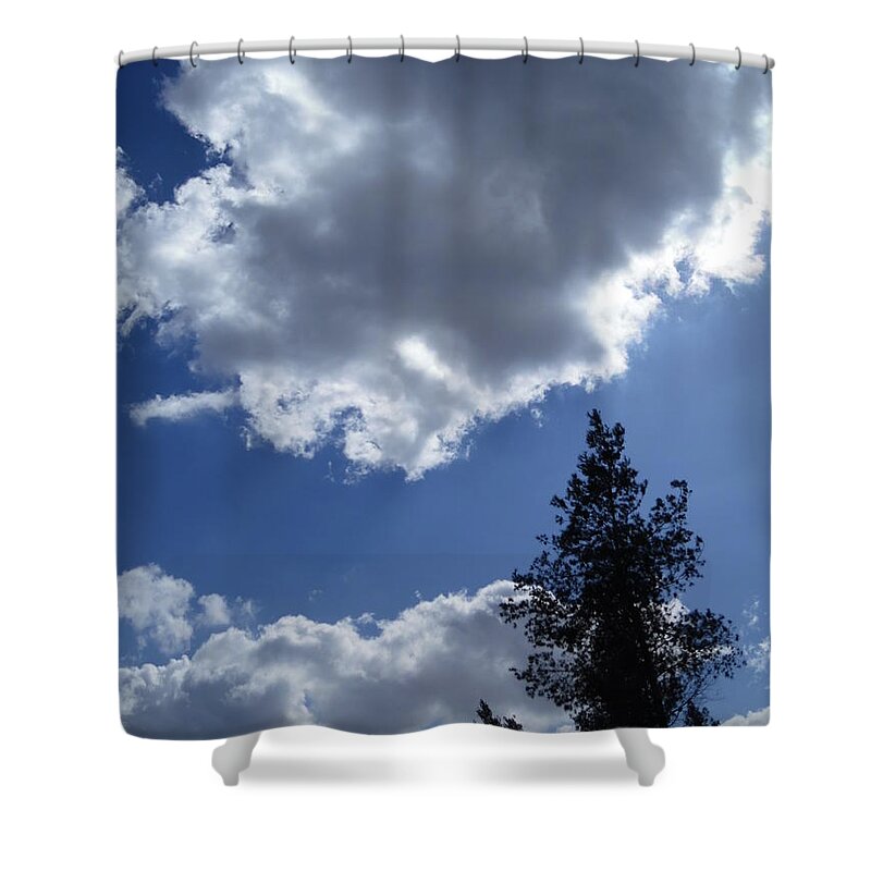 Blustery Winter Clouds Shower Curtain featuring the painting Blustery Winter Clouds by Esther Newman-Cohen