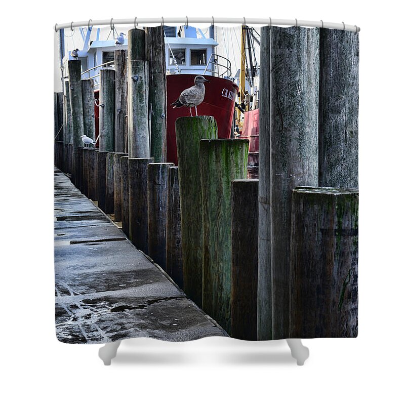 Paul Ward Shower Curtain featuring the photograph Boat Docks by Paul Ward