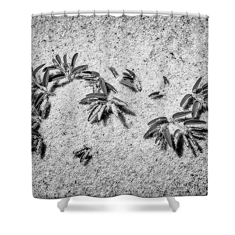 Sun Shower Curtain featuring the photograph Bodhisattva by Frank Winters