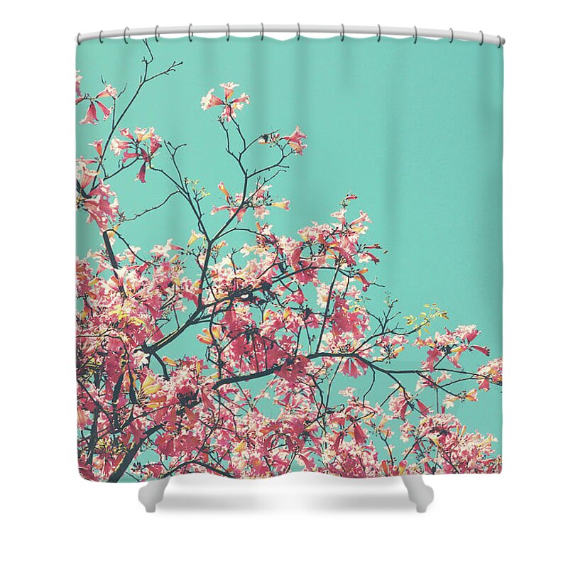 Pink Shower Curtain featuring the photograph Boho Cherry Blossom 1- Art by Linda Woods by Linda Woods
