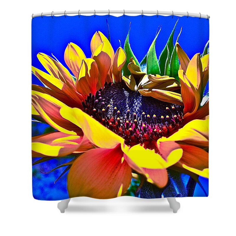 Photographs Shower Curtain featuring the photograph Bold by Gwyn Newcombe