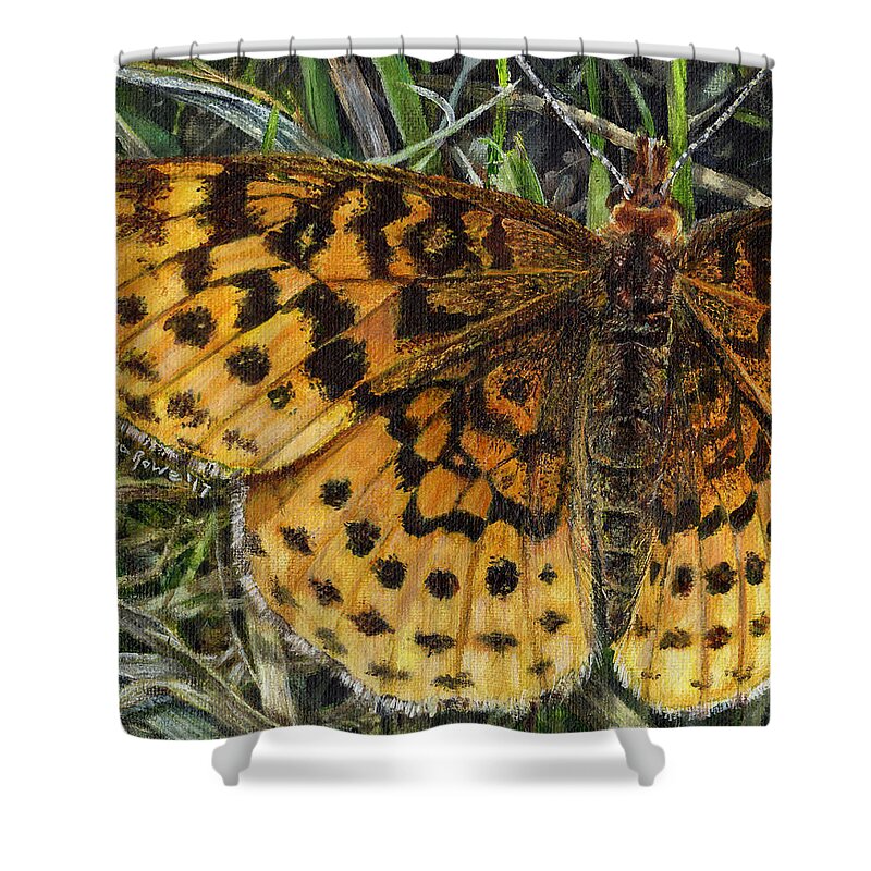 Butterfly Shower Curtain featuring the painting Boloria Bellona by Shana Rowe Jackson
