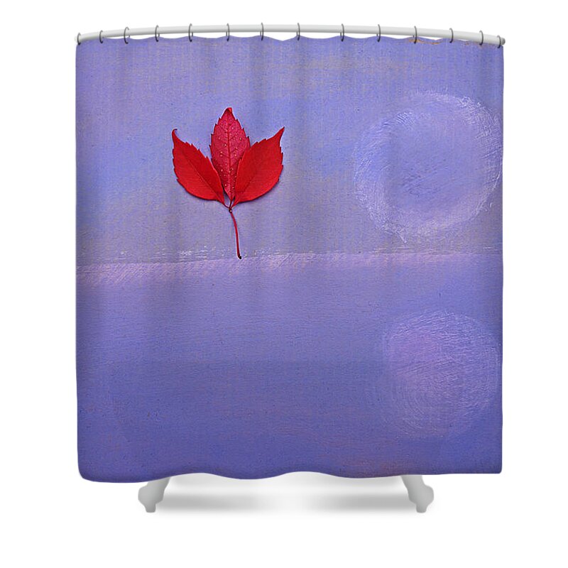 Winter Welcome Shower Curtain featuring the painting Bon Hiver by Charles Stuart
