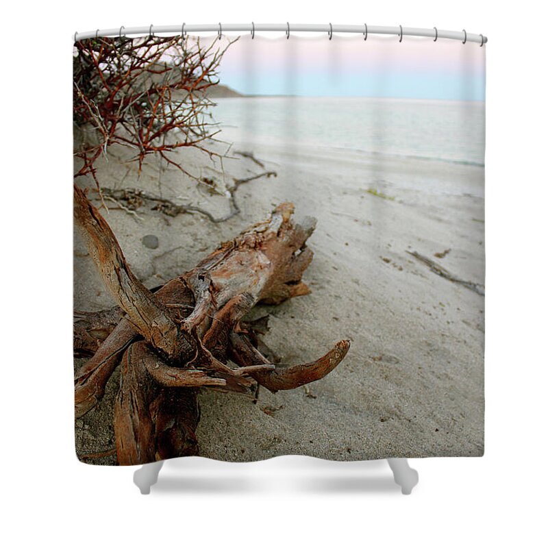 Driftwood Shower Curtain featuring the photograph Bonanza Beach Driftwood by Becqi Sherman