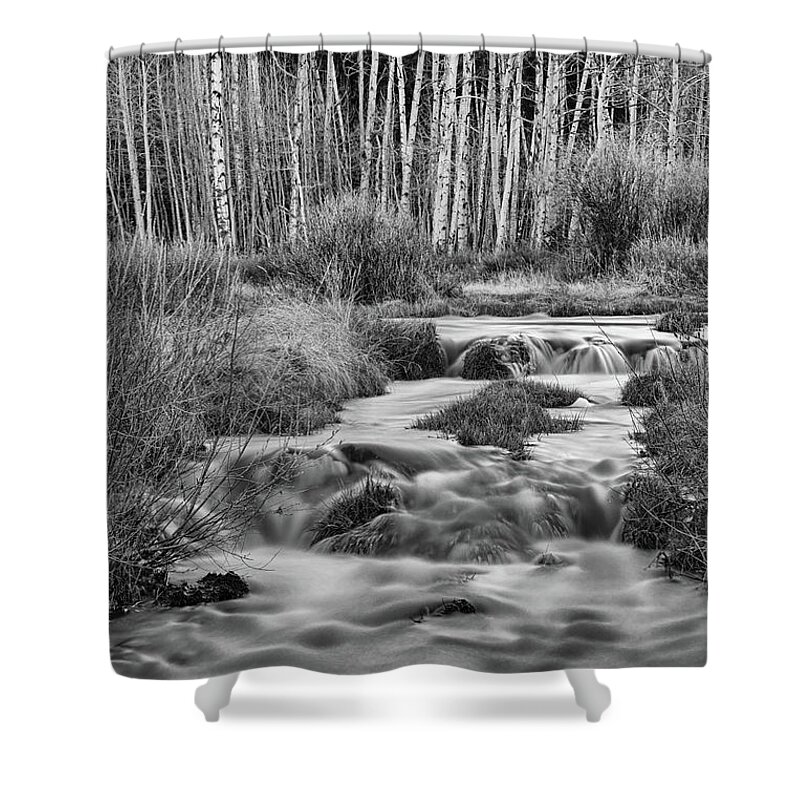 Stream Shower Curtain featuring the photograph Bonanza Streaming by James BO Insogna