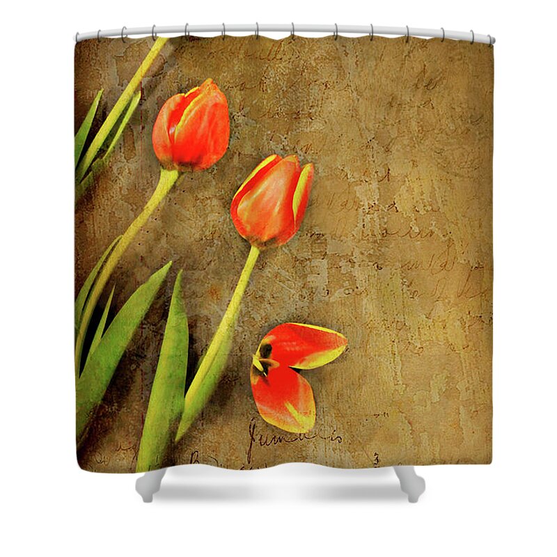 Tulips Shower Curtain featuring the photograph Securing Borders by Diana Angstadt