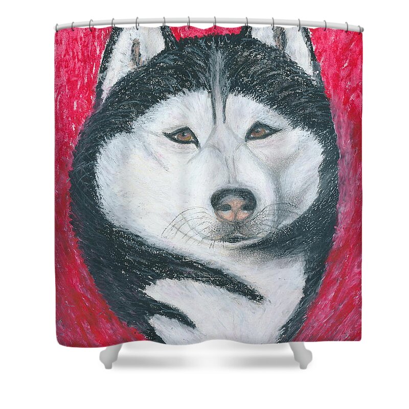 Siberian Husky Shower Curtain featuring the drawing Boris the Siberian Husky by Ania M Milo