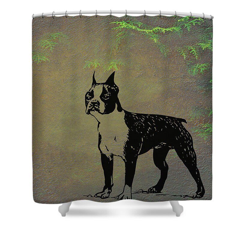 Boston Terrier Shower Curtain featuring the mixed media Boston Terrier by Movie Poster Prints