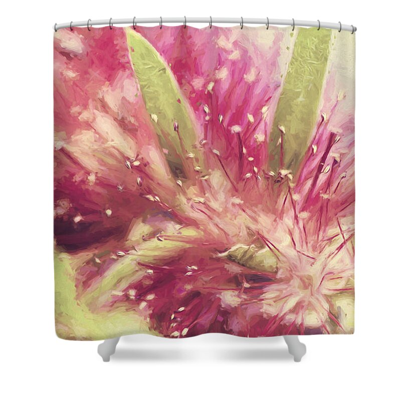 Illustration Shower Curtain featuring the photograph Bottle Brush flower species digital painting by Jorgo Photography