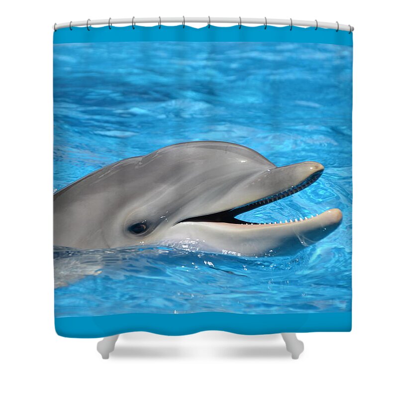 Dolphin Shower Curtain featuring the photograph Bottlenose Dolphin with Mouth Open by Scott H Phillips