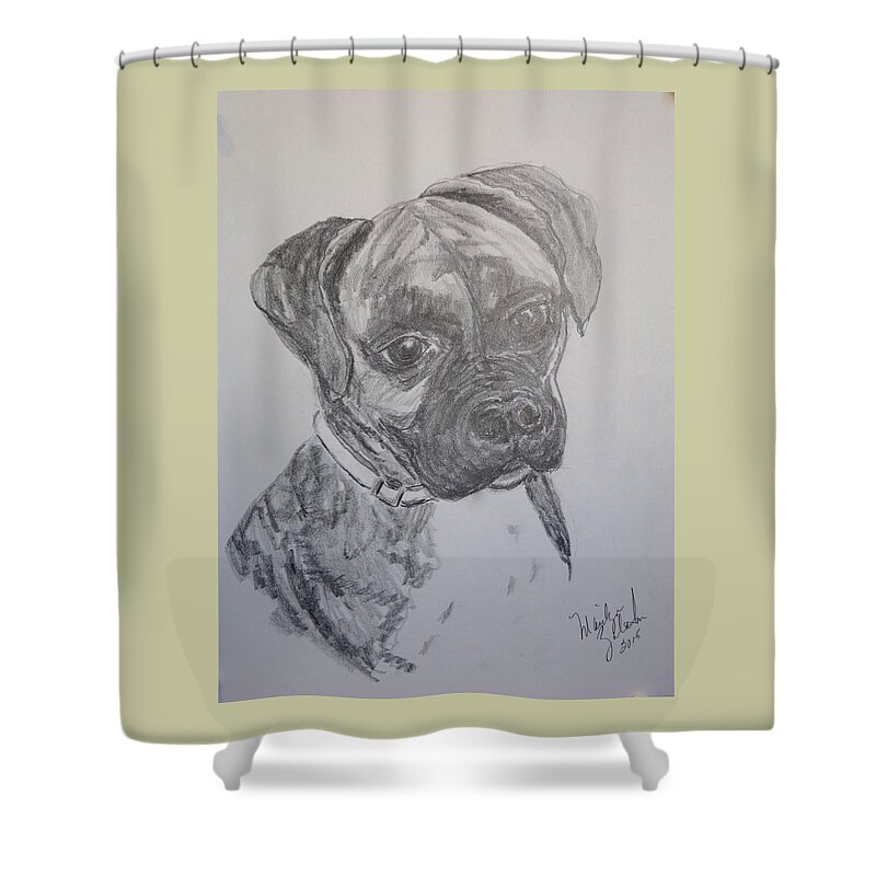 Dog Shower Curtain featuring the drawing Boxer by Marilyn Zalatan