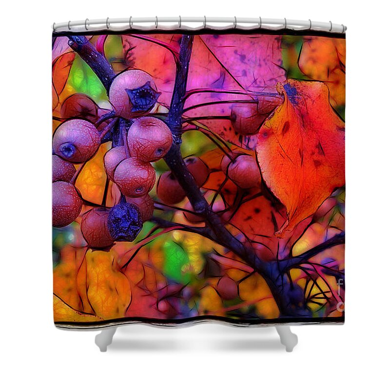 Bradford Shower Curtain featuring the photograph Bradford Pear in Autumn by Judi Bagwell