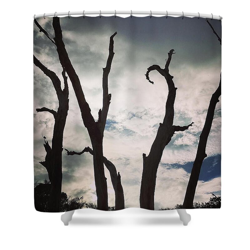Nature Shower Curtain featuring the photograph Branch Silouettes on Skeleton Beach by Aimee Naworal