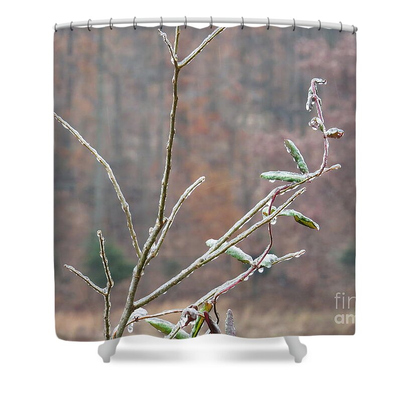 Branch Branches Ice Lake Plant Plants Photo Photograph Art Simple Shower Curtain featuring the photograph Branches in Ice by Craig Walters