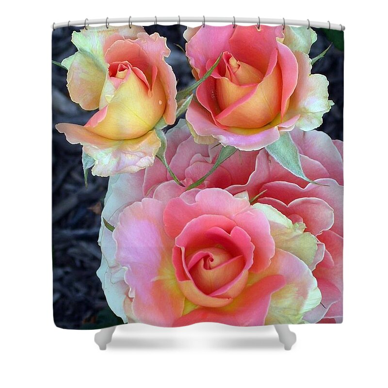 Brass Band Roses Shower Curtain featuring the photograph Brass Band Roses by Living Color Photography Lorraine Lynch