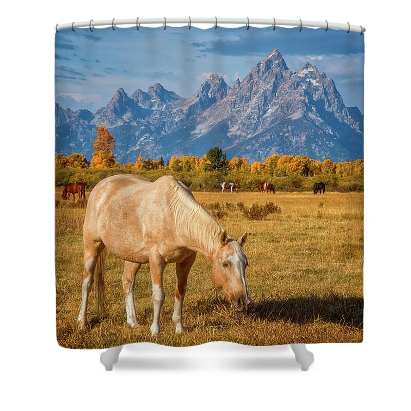 Grand Teton Shower Curtain featuring the photograph Breakfast in the Tetons by Darren White