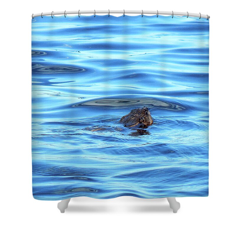 Summer Shower Curtain featuring the photograph Breaking Surface by Wild Thing
