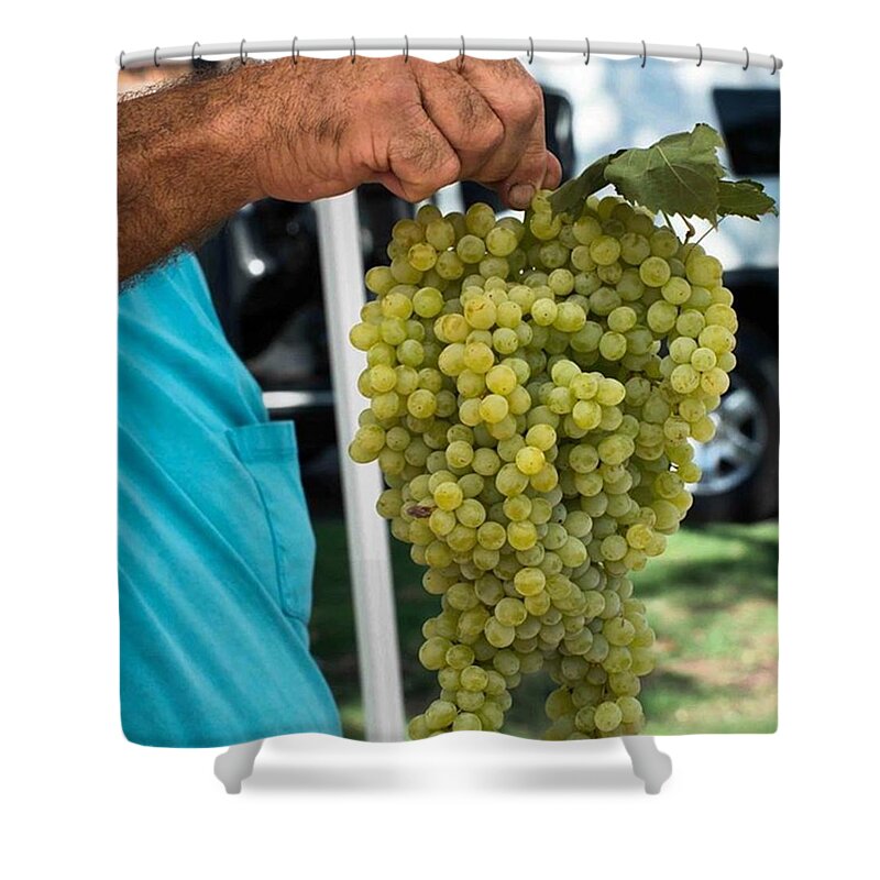 Tucsonphotographer Shower Curtain featuring the photograph Local Grapes by Michael Moriarty