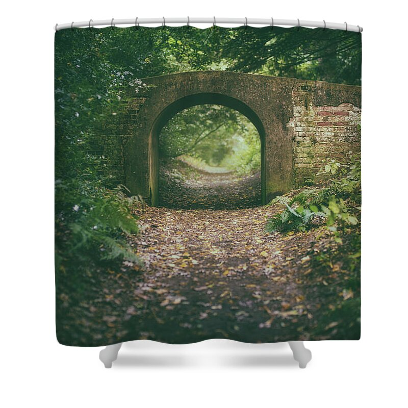 Arch Shower Curtain featuring the photograph Bridge in the woods by James Billings