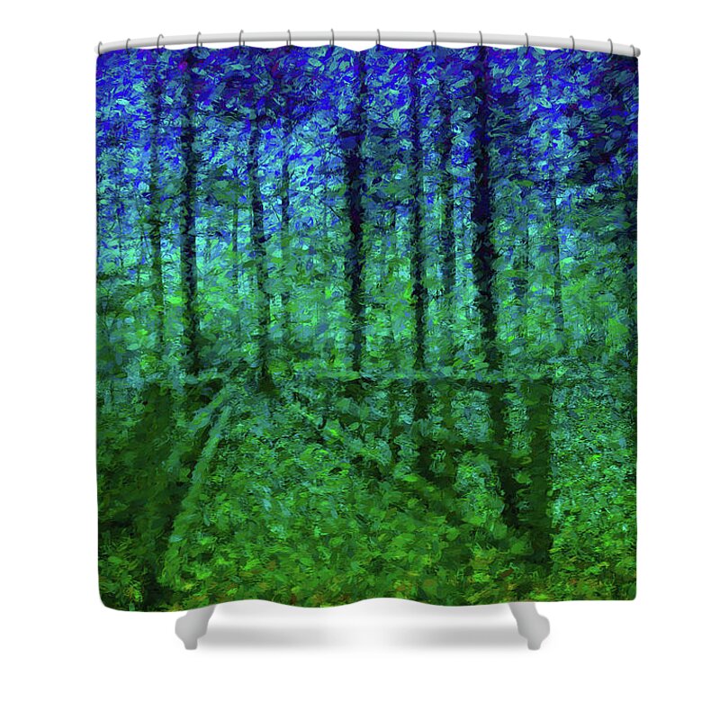 Abstract Shower Curtain featuring the digital art Bridge in Wood by Roger Lighterness