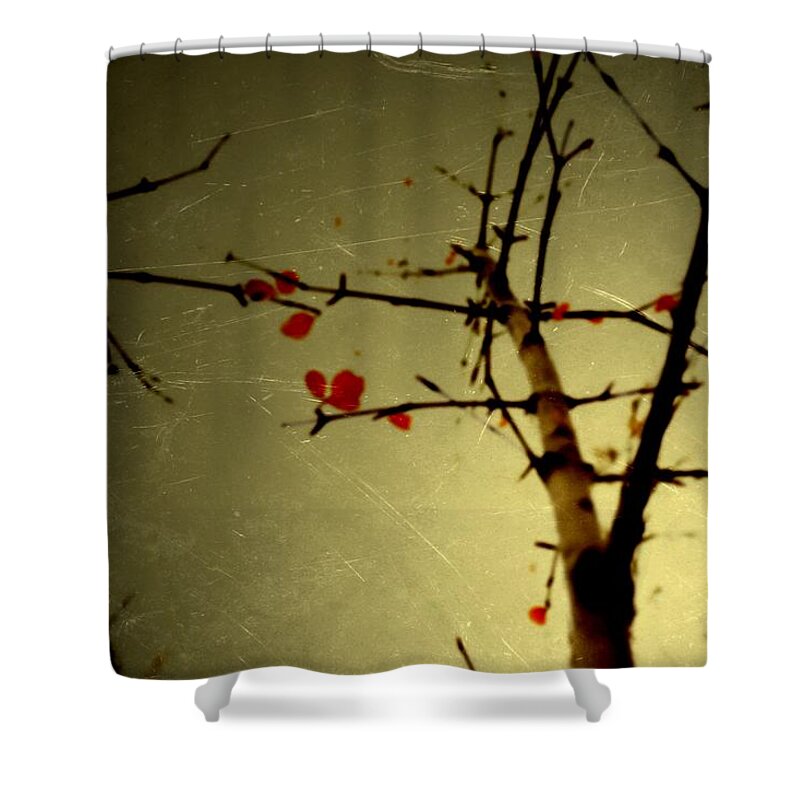 Leaves Shower Curtain featuring the photograph Bridge by Mark Ross