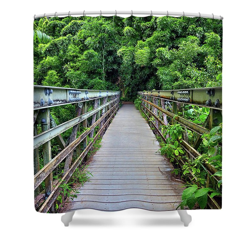 Bridge Shower Curtain featuring the photograph Bridge To Bamboo Forest by Eddie Yerkish