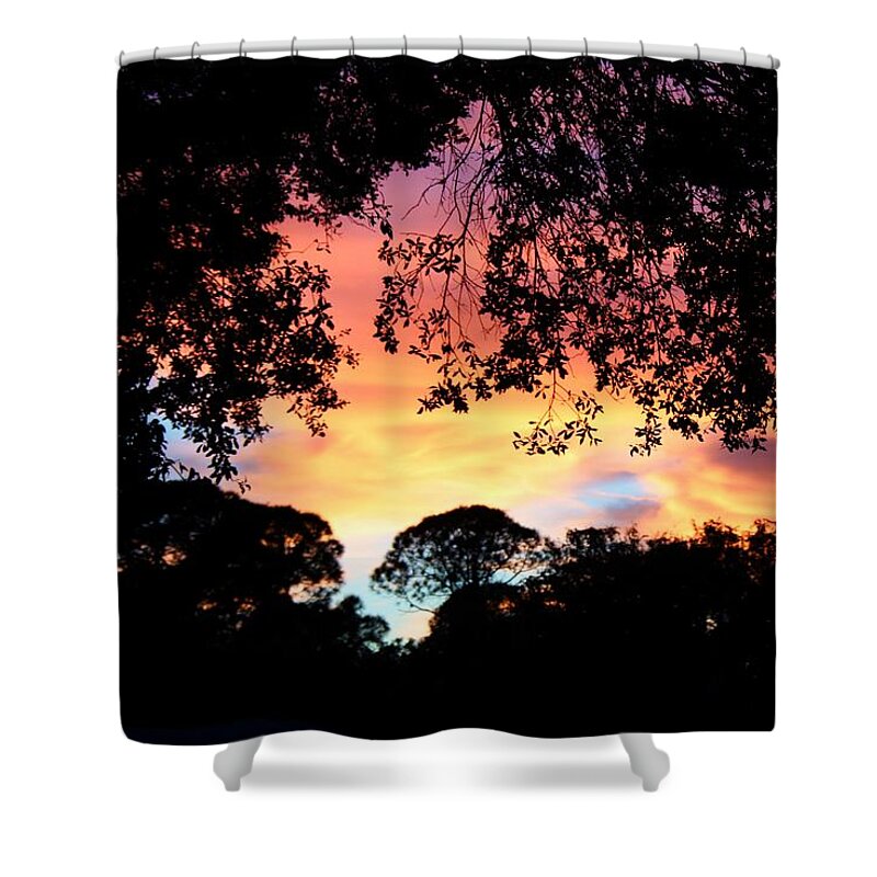 Photo For Sale Shower Curtain featuring the photograph Bright Light in the Trees by Robert Wilder Jr