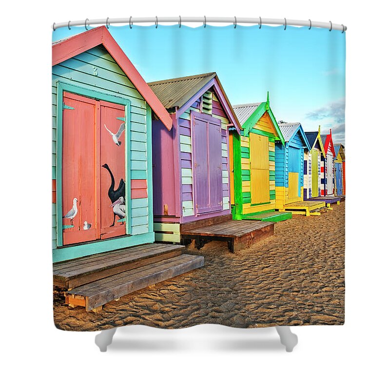 Huts Shower Curtain featuring the photograph Brighton Beach Huts by Catherine Reading