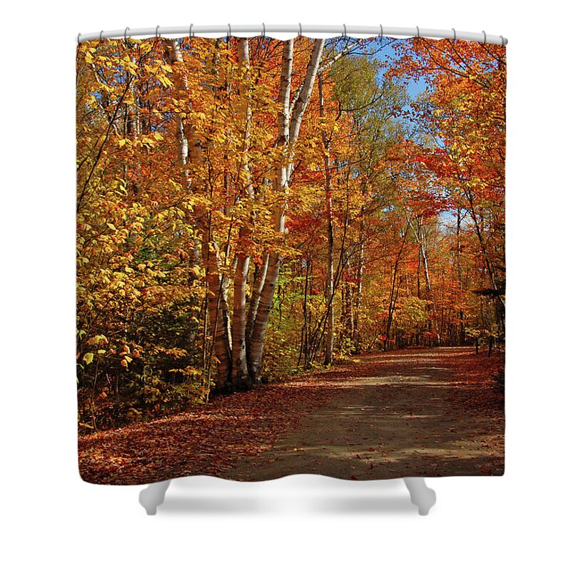 Brighton State Park Shower Curtain featuring the photograph Brighton State Park by Ben Prepelka