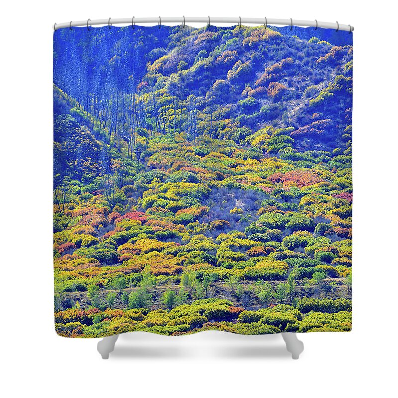 Colorado Shower Curtain featuring the photograph Brilliant Fall Colors of Glenwood Springs by Ray Mathis