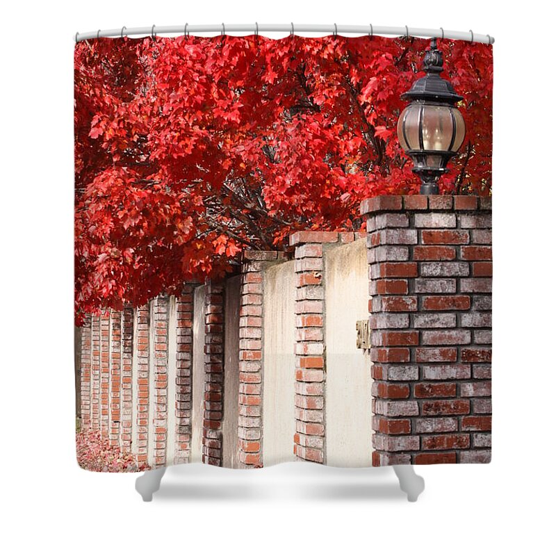 Fall Shower Curtain featuring the photograph Brilliant Fall by Jeff Floyd CA