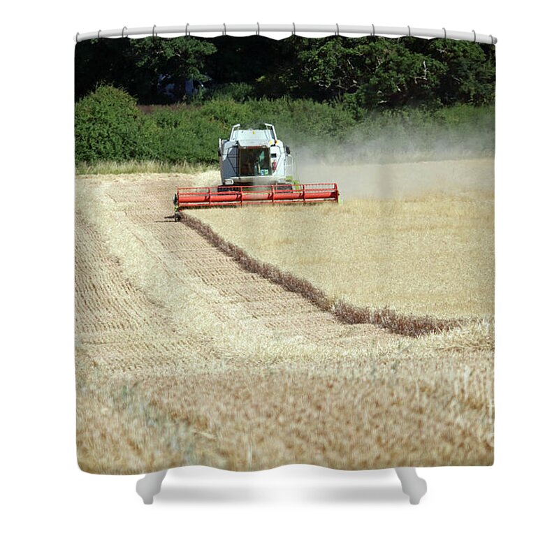 Harvest England Wheat Corn Harvesting Combine Summer English Landscape Summer Shower Curtain featuring the photograph Bringing in the harvest England by Julia Gavin
