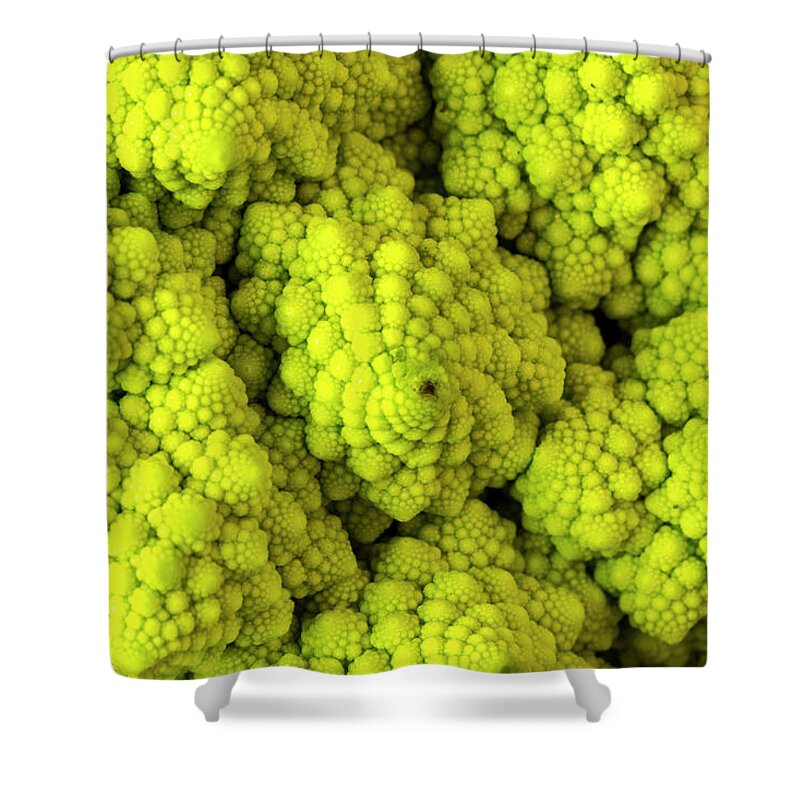 Italian Shower Curtain featuring the photograph Broccoli Romanesco Close Up by Teri Virbickis