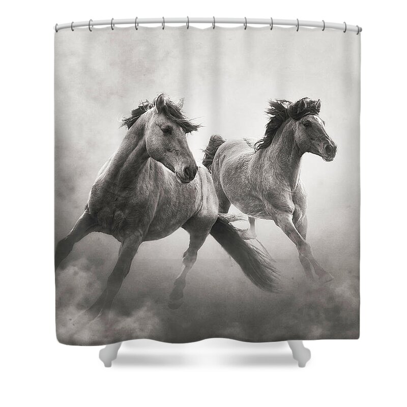 Horses Shower Curtain featuring the photograph Brothers of the Dust by Ron McGinnis