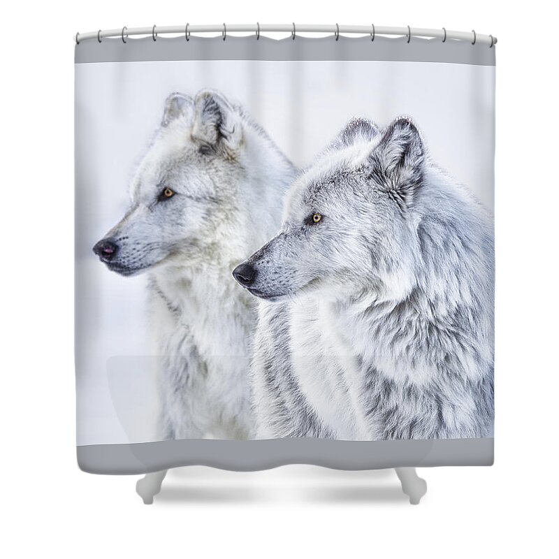 Wolves Shower Curtain featuring the photograph Brothers by Peg Runyan