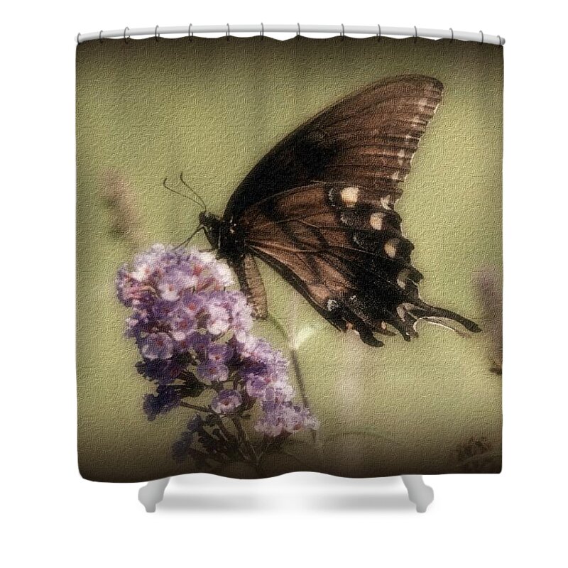 Butterfly Shower Curtain featuring the photograph Brown and Beautiful by Sandy Keeton