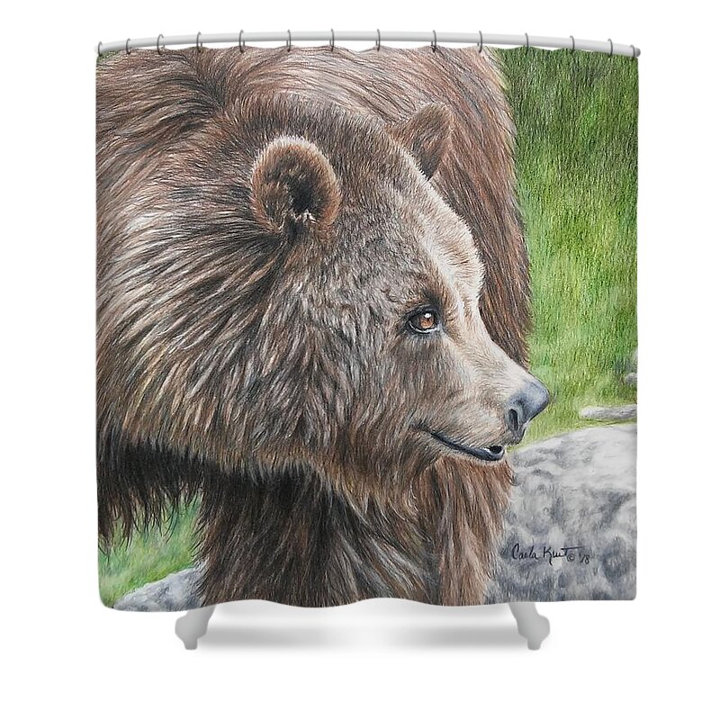 Brown Bear Shower Curtain featuring the drawing Brown Bear by Carla Kurt