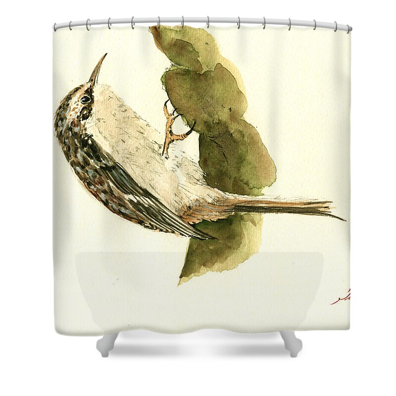 Songbird Art Shower Curtain featuring the painting Brown creeper by Juan Bosco