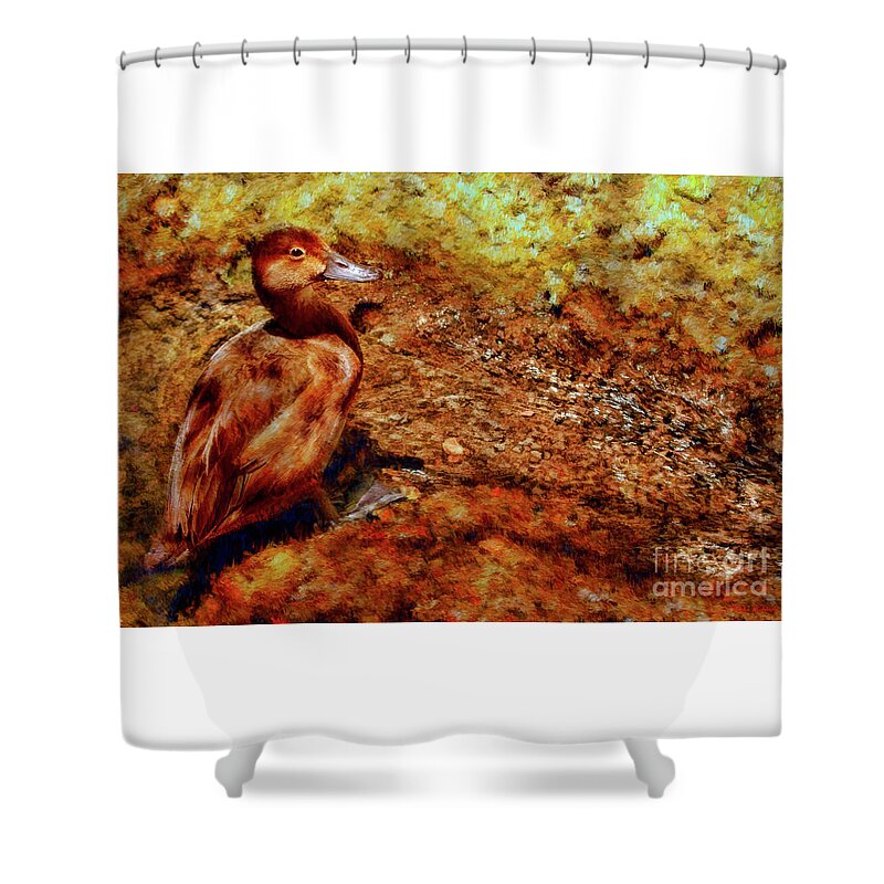 Duck Shower Curtain featuring the photograph Brown Duck by Blake Richards