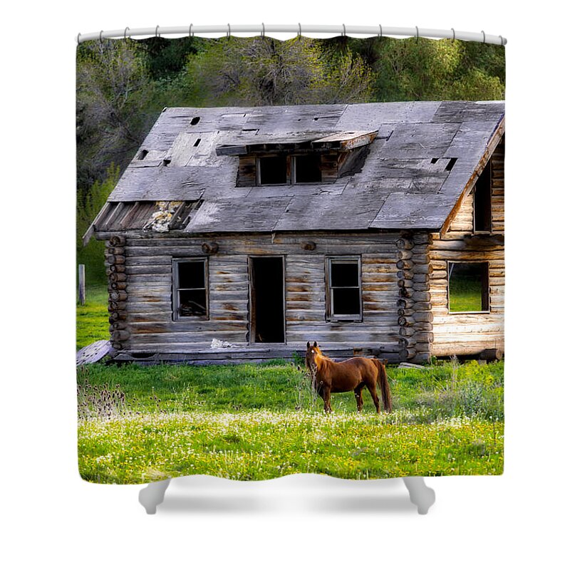 Landscape Shower Curtain featuring the pyrography Brown Horse and Old Log Cabin by James Steele