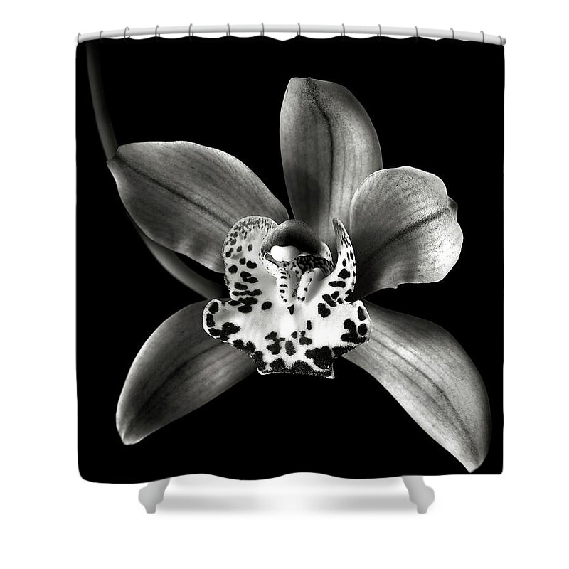 Flower Shower Curtain featuring the photograph Brown Orchid in Black and White by Endre Balogh