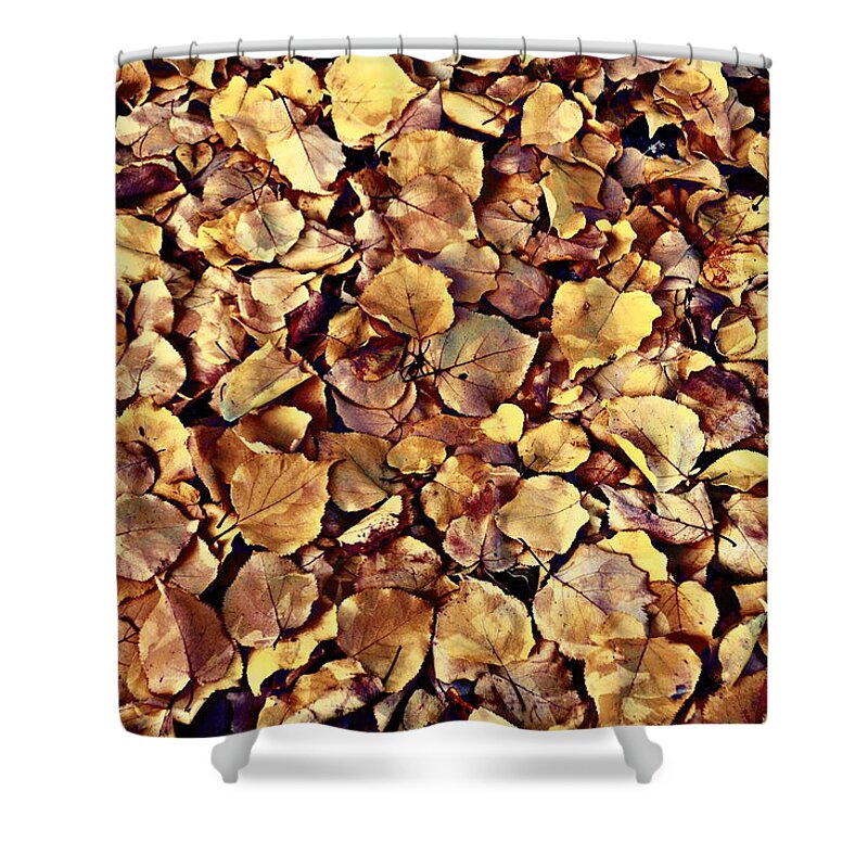 Leaves Shower Curtain featuring the photograph Browning Leaves by Glenn McCarthy Art and Photography