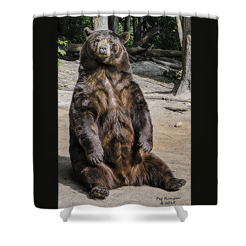Black Bear Shower Curtain featuring the photograph Bruno the Bear by Peg Runyan