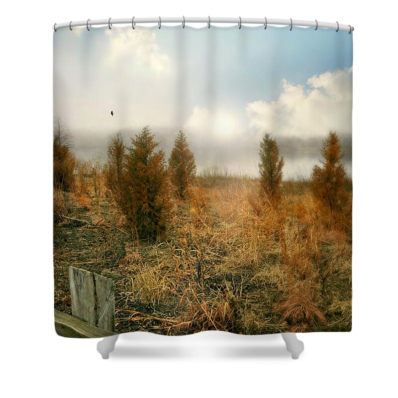 Landscape Shower Curtain featuring the photograph Brush Strokes by Diana Angstadt