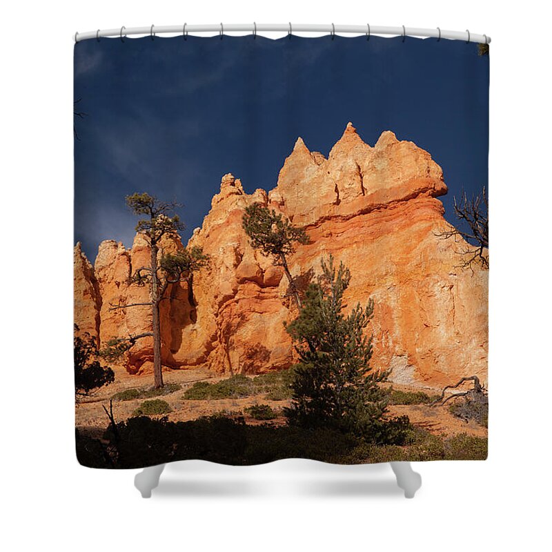 Bryce Canyon Shower Curtain featuring the photograph Bryce Canyon Hoodoos by Alan Vance Ley