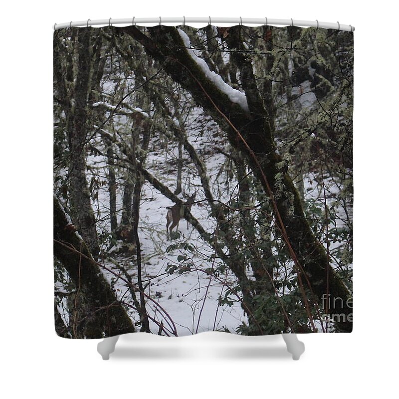 Buck Shower Curtain featuring the photograph Buck from the Skycrest Trailhead by Marie Neder
