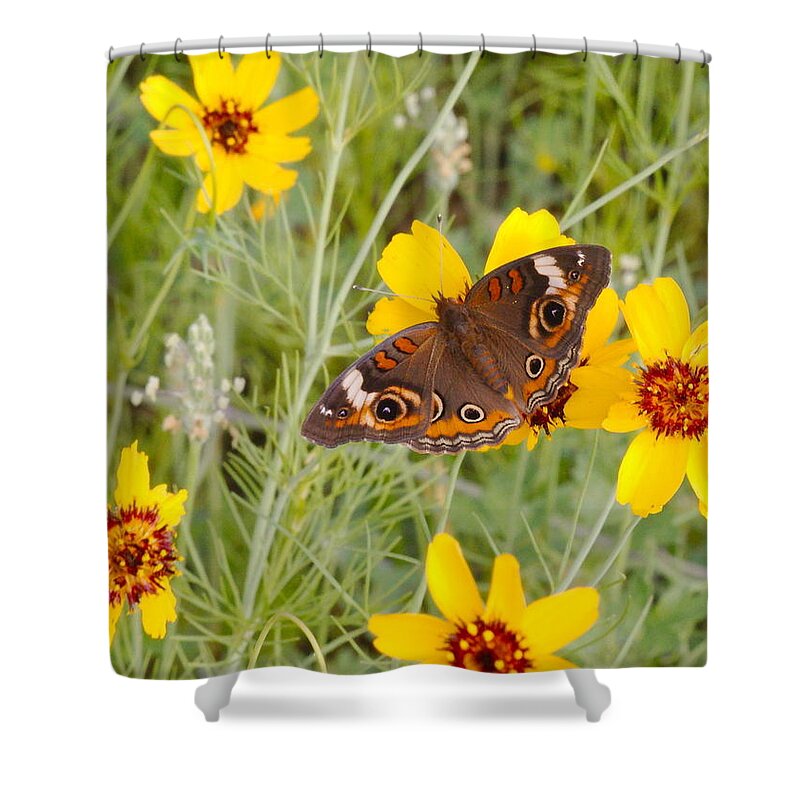 Buckeye Shower Curtain featuring the photograph Buckeye Butterfly by James Smullins