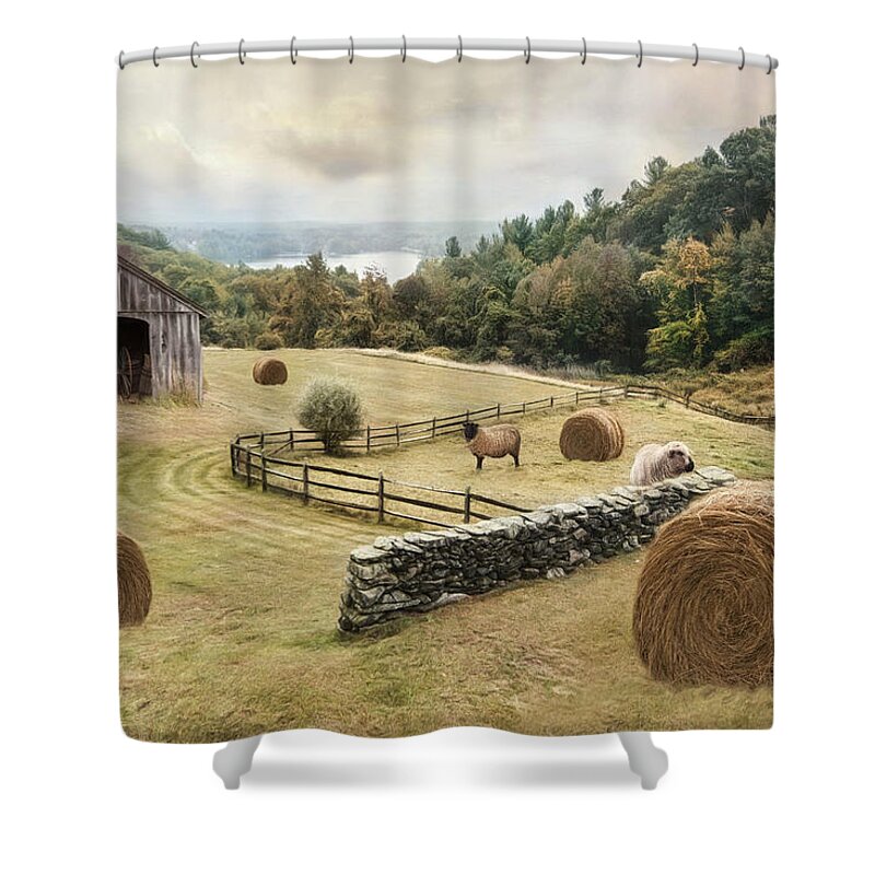 Sheep Shower Curtain featuring the photograph Bucolic by Robin-Lee Vieira