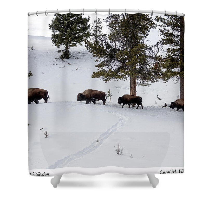 Carol M. Highsmith Shower Curtain featuring the photograph Buffaloes in Yellowstone National Park by Carol M Highsmith